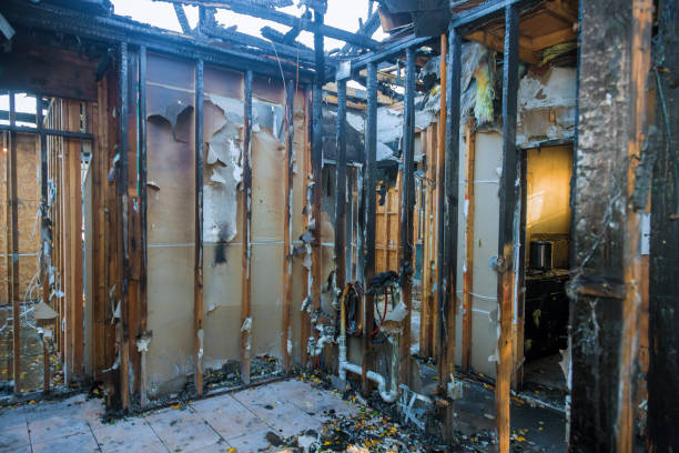 Professional Fire Damage Assessment technician working in Auburn, WA